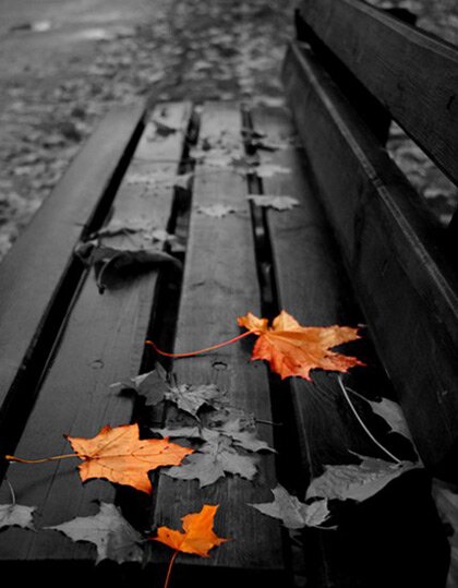 Пустота под ногами Пустота под ногами