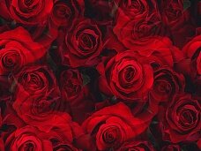 Что нашептали розы дизайнеру Юлии Латушкиной