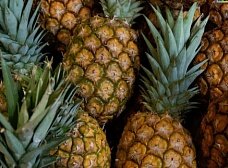 Колумбийский рекорд наркотрафика: 7 тонн кокаина в ананасах