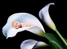 В Шотландии врачам предоставили право отказаться совершать аборт