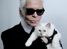 Француженки ополчились на Лагерфельда