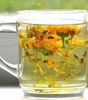 Псориаз и народная медицина Псориаз и народная медицина