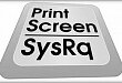 "Print/Screen/Print" -    
