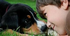 Ребенок попросил домашнего питомца. Что делать?