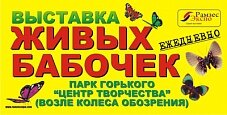 С 15 июля выставка живых экзотических бабочек