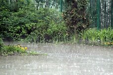 26 мая в Беларуси ждут грозу, град и +32