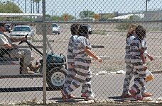 В Калифорнии незаконно стерилизовали 150 заключенных