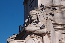 Вена вводит штрафы за кормление голубей