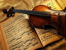 В Минской области появится свой музыкальный фестиваль