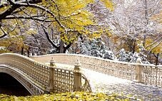 Праздники ноября – что будем отмечать?