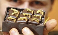 Во Франции продают “диетический” шоколад с насекомыми