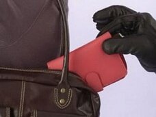 Борисовская милиция задержала "Золотую ручку"