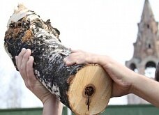 Нетрезвая внучка убила 90-летнюю бабушку поленом