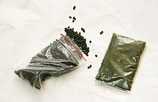 В Минске изъяли 40 кг запрещенного насвая