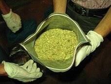 Девятиклассник умер от передозировки: виноват “спайс”